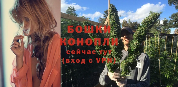 PSILOCYBIN Михайлов