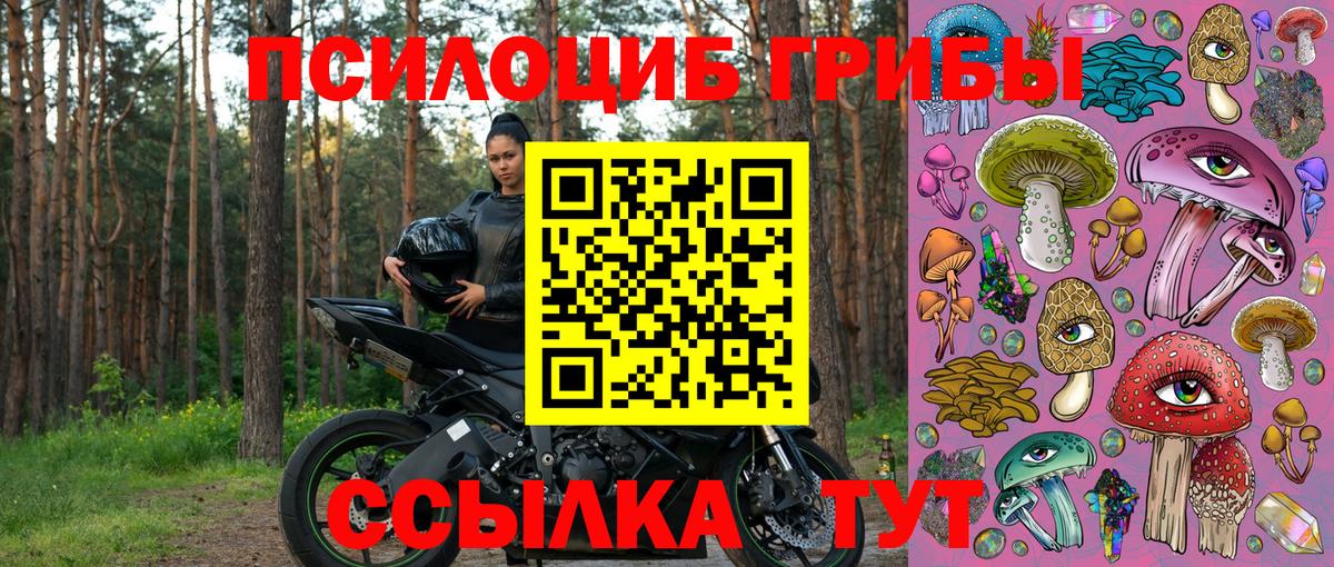Псилоцибиновые грибы мицелий  что такое наркотик  Балахна  Вход с VPN  Псилоцибиновые грибы Psilocybe 