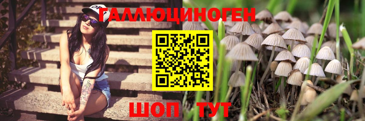 Псилоцибиновые грибы Magic Shrooms Балахна